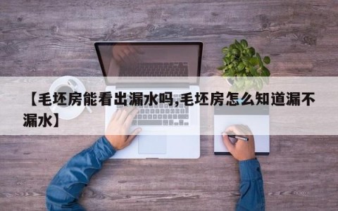 【毛坯房能看出漏水吗,毛坯房怎么知道漏不漏水】