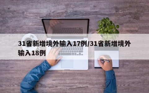 31省新增境外输入17例/31省新增境外输入18例