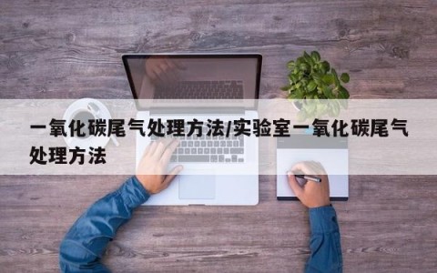 一氧化碳尾气处理方法/实验室一氧化碳尾气处理方法